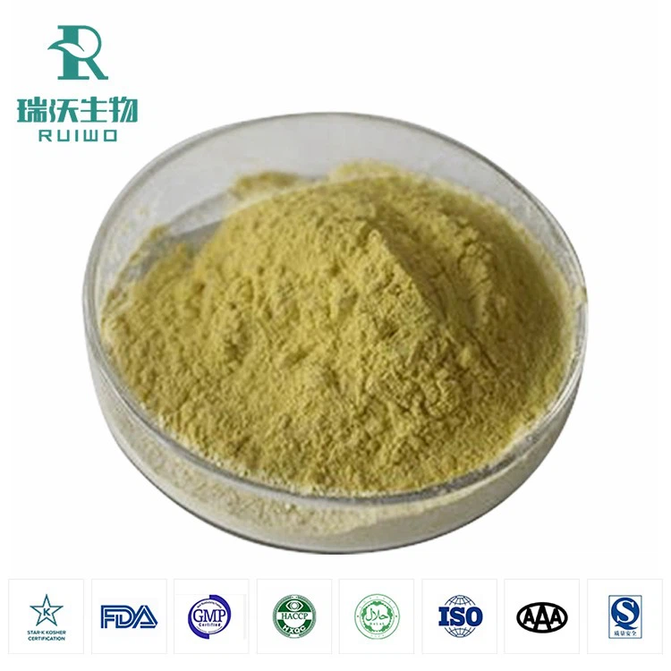 Extrait de ginseng américain