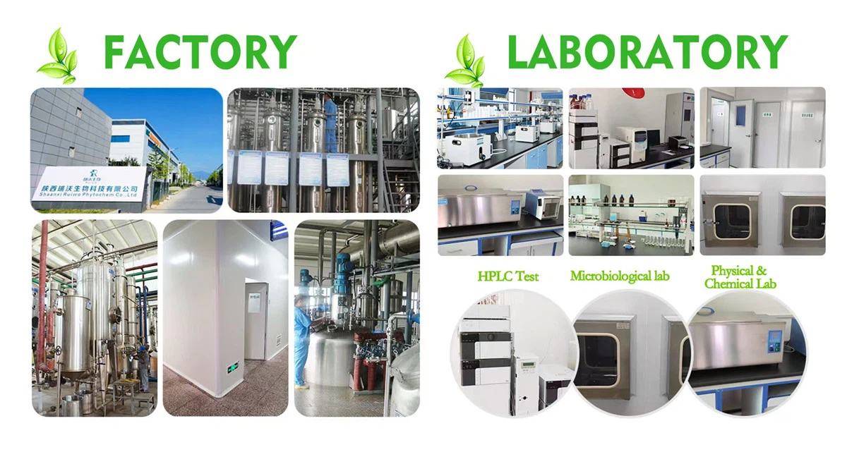 Laboratory testing for quality control and validation of product potency and purity Laboratory testing for quality control and validation of product potency and purity
