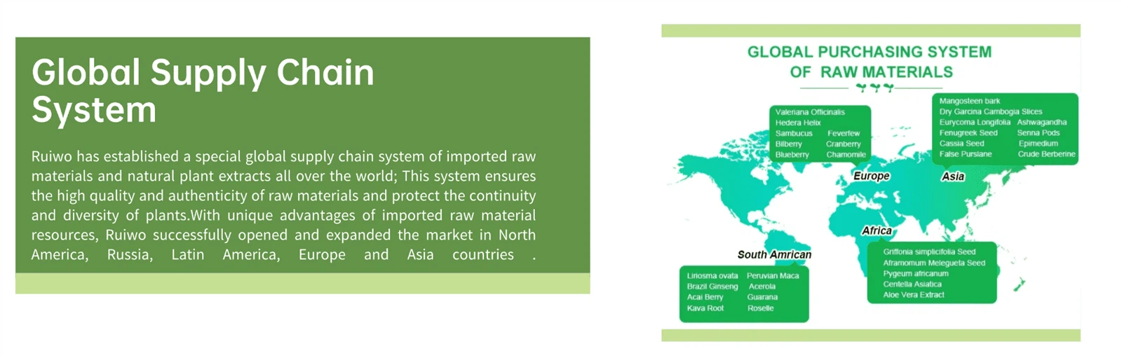 Global distribution and supply chain for sourcing, manufacturing, and delivering products worldwide Global distribution and supply chain for sourcing, manufacturing, and delivering products worldwide