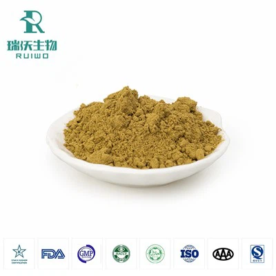 Ashwagandha Extrait de poudre en vrac