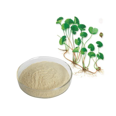 Poudre d'extrait de Gotu Kola